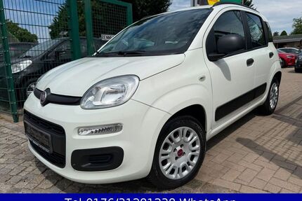 Fiat Panda Gebrauchtwagen