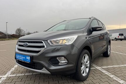 Ford Kuga Gebrauchtwagen