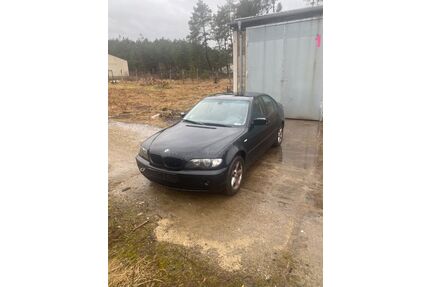 BMW 316 Gebrauchtwagen