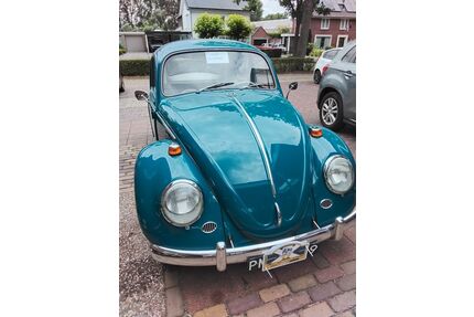 VW Beetle Gebrauchtwagen