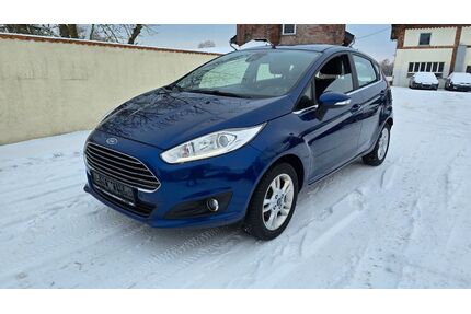 Ford Fiesta Gebrauchtwagen