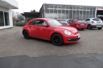VW Beetle Gebrauchtwagen