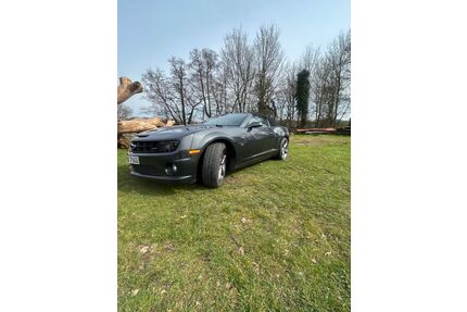 Chevrolet Camaro Gebrauchtwagen