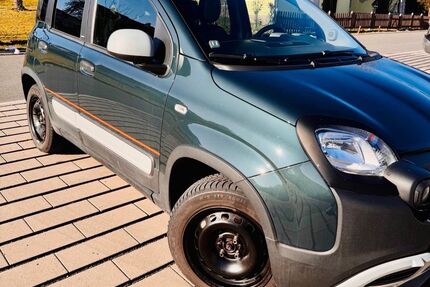 Fiat Panda Gebrauchtwagen
