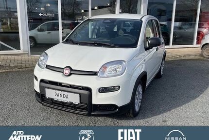 Fiat Panda Gebrauchtwagen