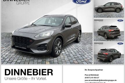 Ford Kuga Gebrauchtwagen