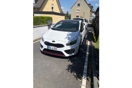 Kia pro ceed / ProCeed Gebrauchtwagen