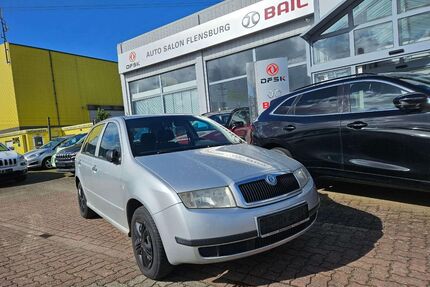 Skoda Fabia Gebrauchtwagen