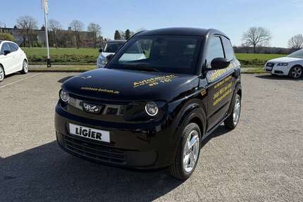 Ligier Myli Gebrauchtwagen