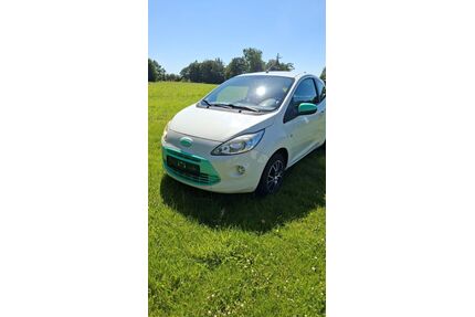 Ford Ka/Ka+ Gebrauchtwagen