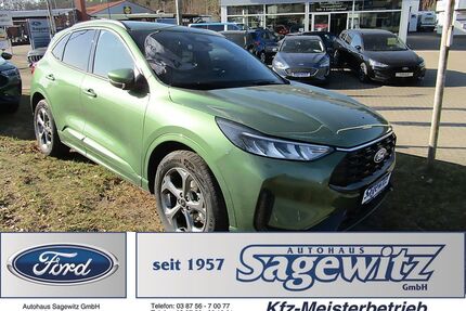 Ford Kuga Gebrauchtwagen