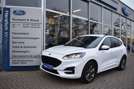 Ford Kuga Gebrauchtwagen