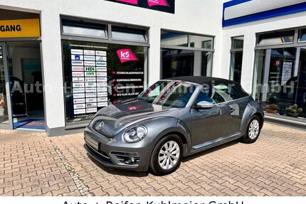 VW Beetle Gebrauchtwagen