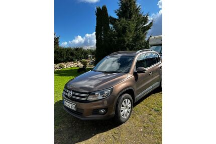 VW Tiguan Gebrauchtwagen