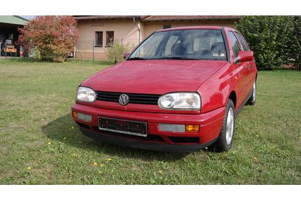 VW Golf Gebrauchtwagen