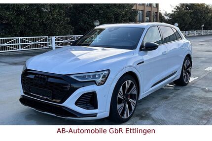 Audi Q8 e-tron Gebrauchtwagen