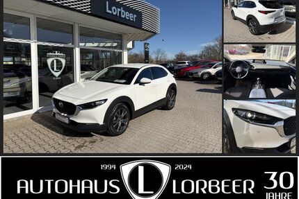 Mazda CX-30 Gebrauchtwagen