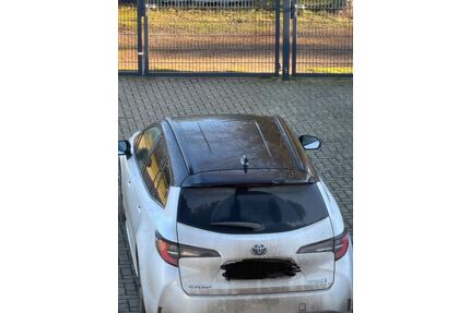 Toyota Corolla Gebrauchtwagen