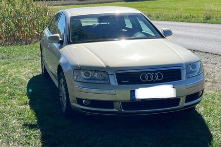 Audi A8 Gebrauchtwagen