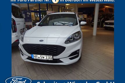 Ford Kuga Gebrauchtwagen