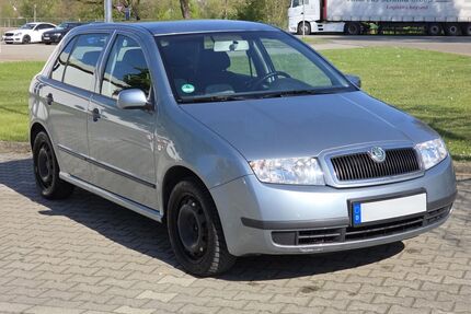 Skoda Fabia Gebrauchtwagen