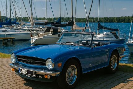 Triumph TR6 Gebrauchtwagen