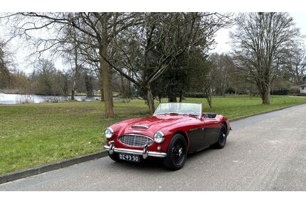 Austin Healey Andere Gebrauchtwagen