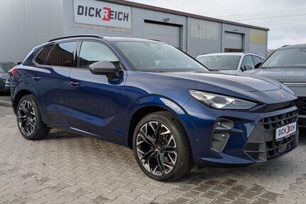 Cupra Terramar Gebrauchtwagen