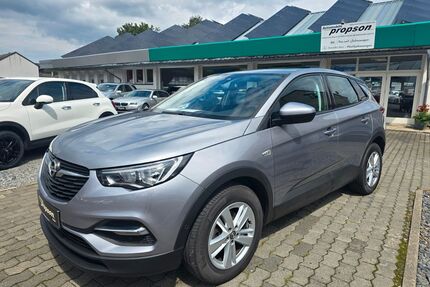 Opel Grandland (X) Gebrauchtwagen