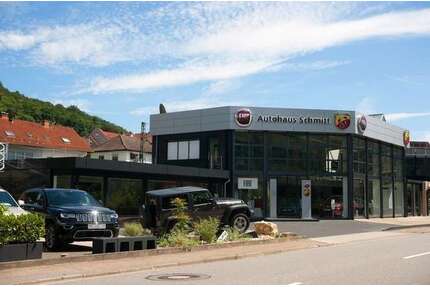 Alfa Romeo Stelvio Gebrauchtwagen