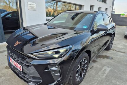 Cupra Terramar Gebrauchtwagen