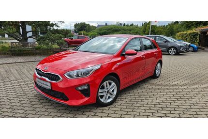 Kia ceed / Ceed Gebrauchtwagen