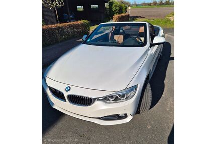 BMW 435 Gebrauchtwagen