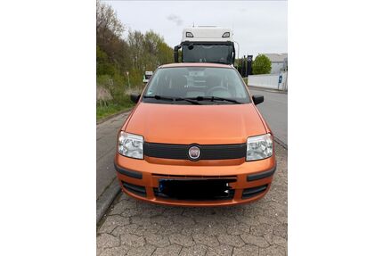 Fiat Panda Gebrauchtwagen