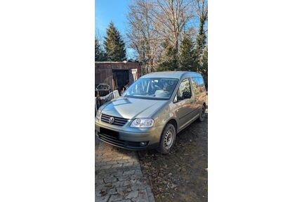 VW Caddy Gebrauchtwagen