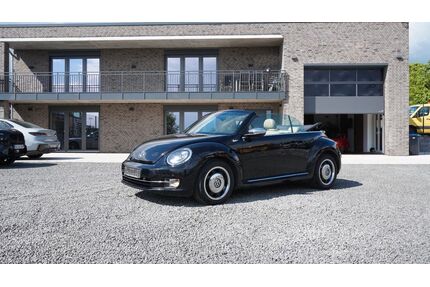 VW Beetle Gebrauchtwagen