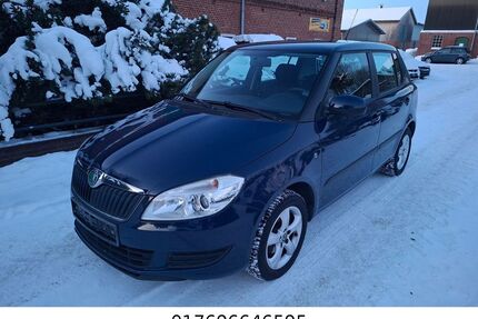 Skoda Fabia Gebrauchtwagen