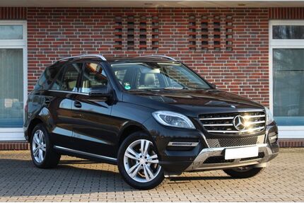 Mercedes-Benz ML 250 Gebrauchtwagen