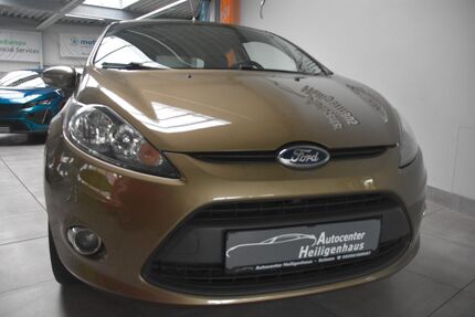Ford Fiesta Gebrauchtwagen