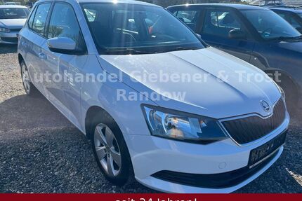 Skoda Fabia Gebrauchtwagen