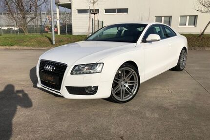 Audi A5 Gebrauchtwagen