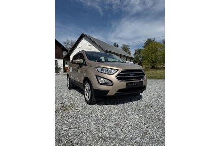 Ford EcoSport Gebrauchtwagen