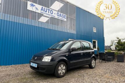 Fiat Panda Gebrauchtwagen