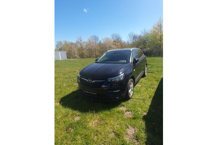 Opel Grandland (X) Gebrauchtwagen