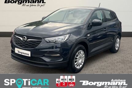 Opel Grandland (X) Gebrauchtwagen
