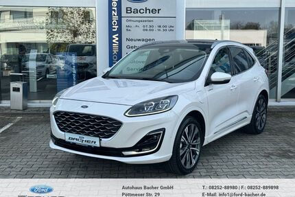 Ford Kuga Gebrauchtwagen