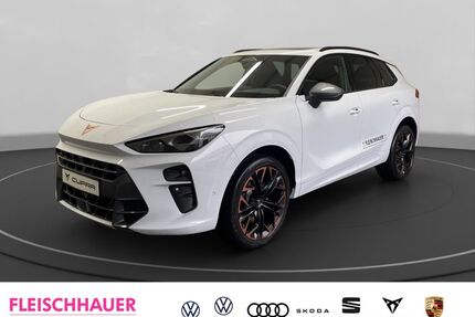 Cupra Terramar Gebrauchtwagen