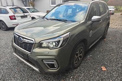 Subaru Forester Gebrauchtwagen