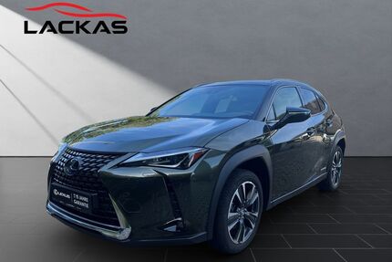Lexus UX Gebrauchtwagen