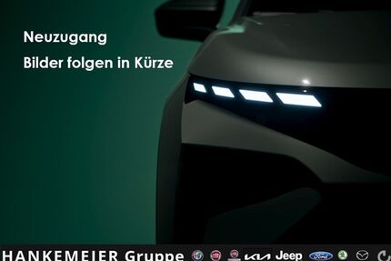 Fiat Panda Gebrauchtwagen